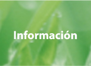 Información estadística