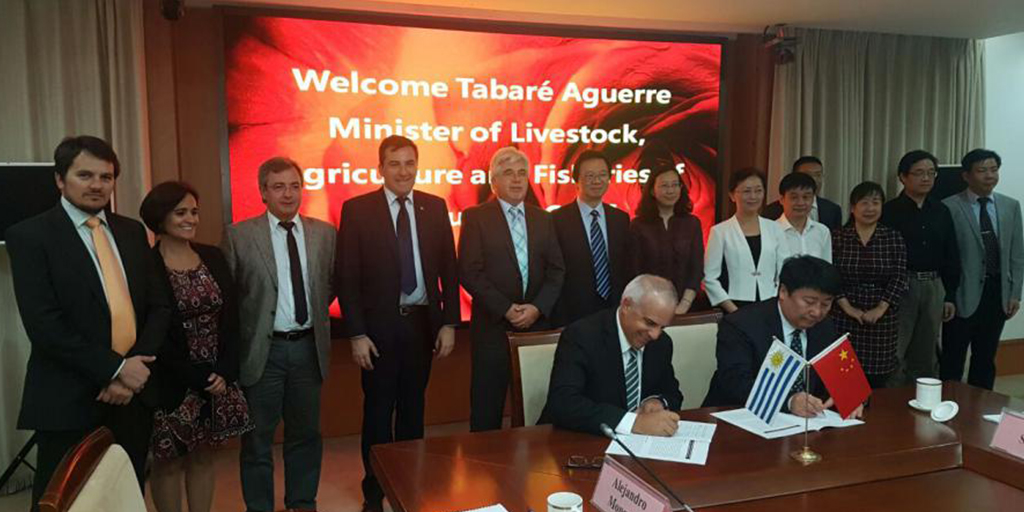 Fomento de la carne uruguaya en China.