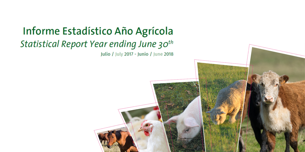 Informe Estadístico Año Agrícola 2017/18