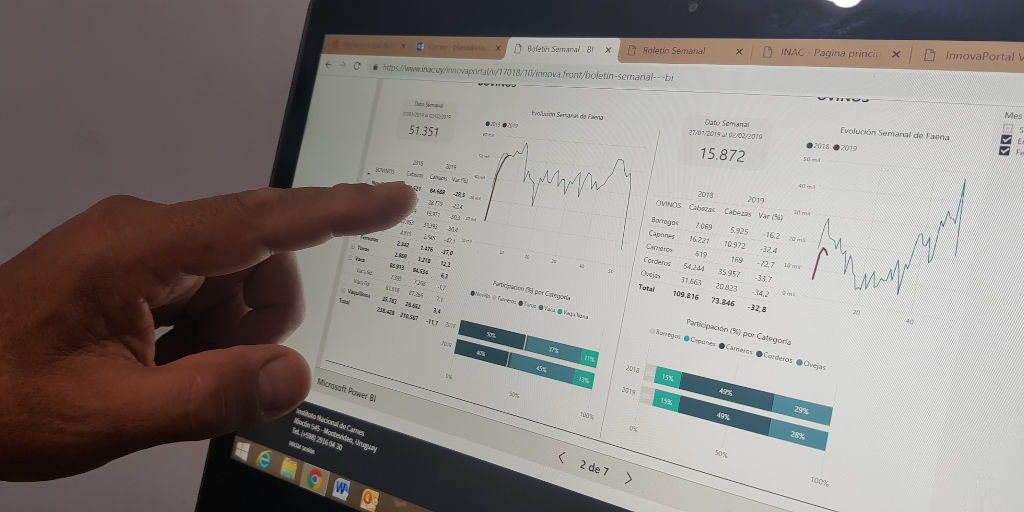 Nuevo Formato de Boletín Semanal