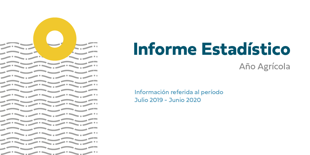 Informe Estadístico año Agrícola 2019-2020