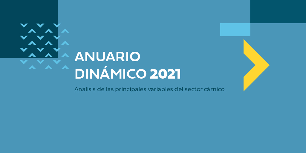 Anuario Estadístico 2021